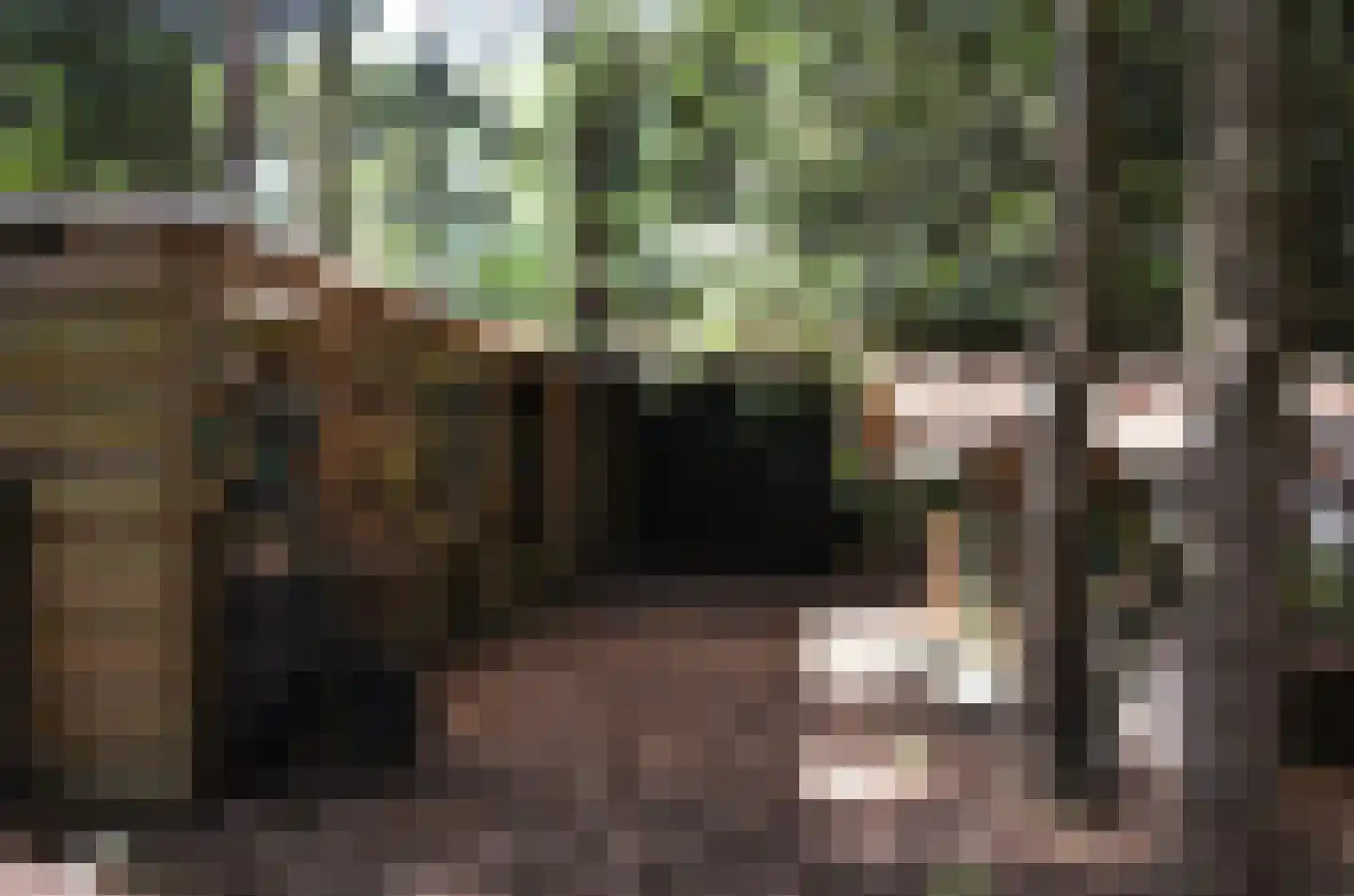 Roessinkweg 28 Hengelo (Gld) thumbnail 42