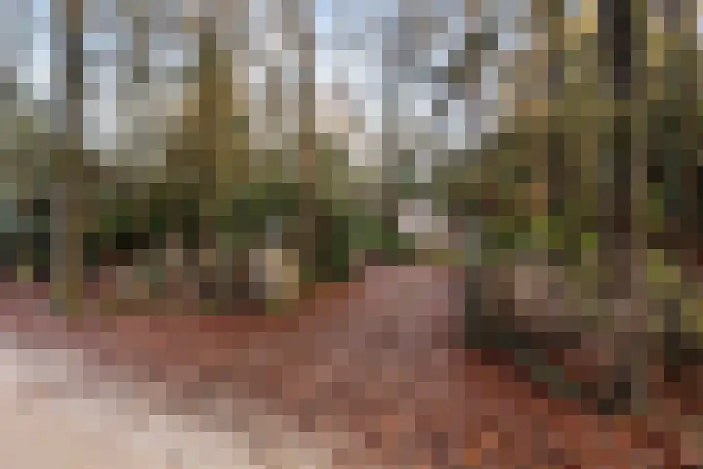 Roessinkweg 28 Hengelo (Gld) thumbnail 42