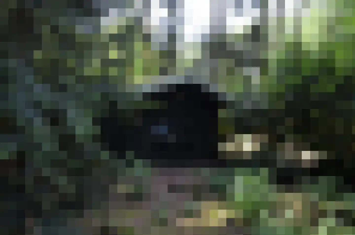 Roessinkweg 28 Hengelo (Gld) thumbnail 43