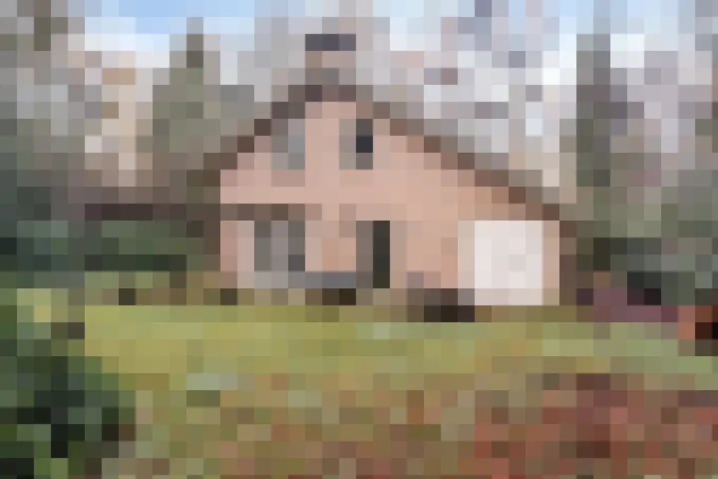 Roessinkweg 28 Hengelo (Gld) thumbnail 43