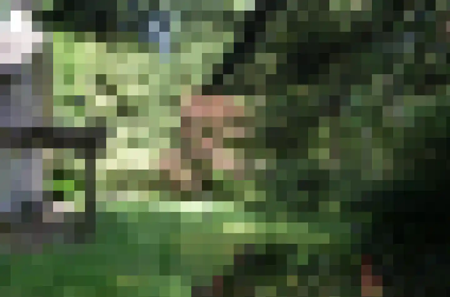 Roessinkweg 28 Hengelo (Gld) thumbnail 44