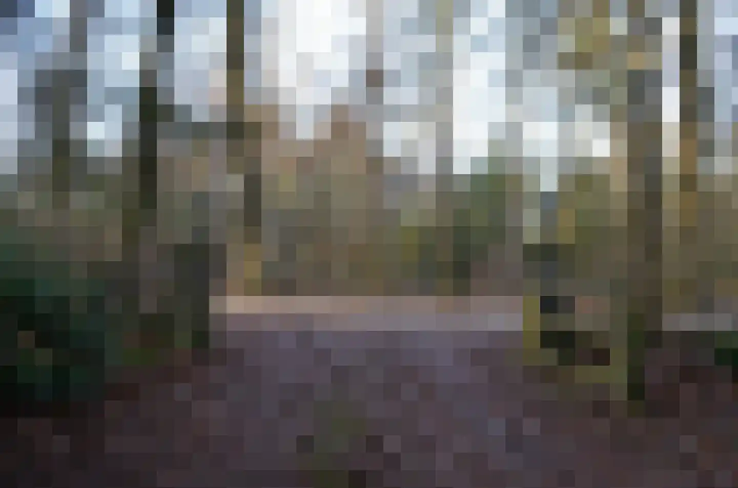 Roessinkweg 28 Hengelo (Gld) thumbnail 44