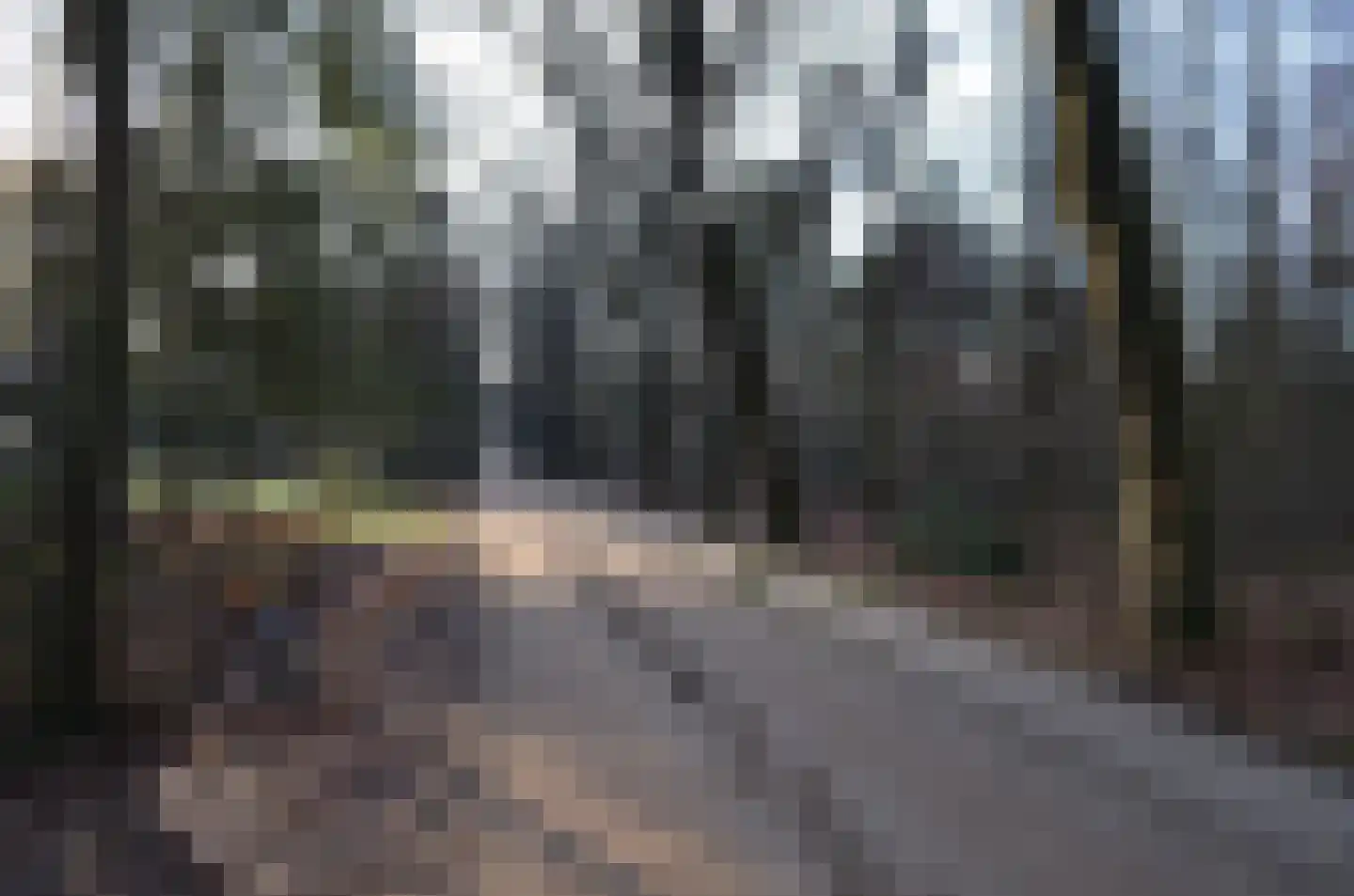 Roessinkweg 28 Hengelo (Gld) thumbnail 45