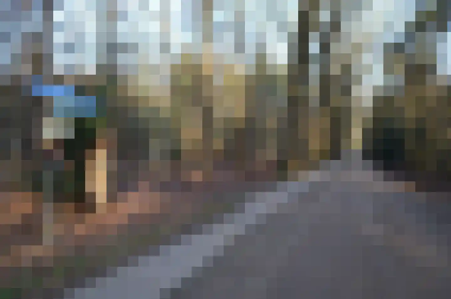 Roessinkweg 28 Hengelo (Gld) thumbnail 46