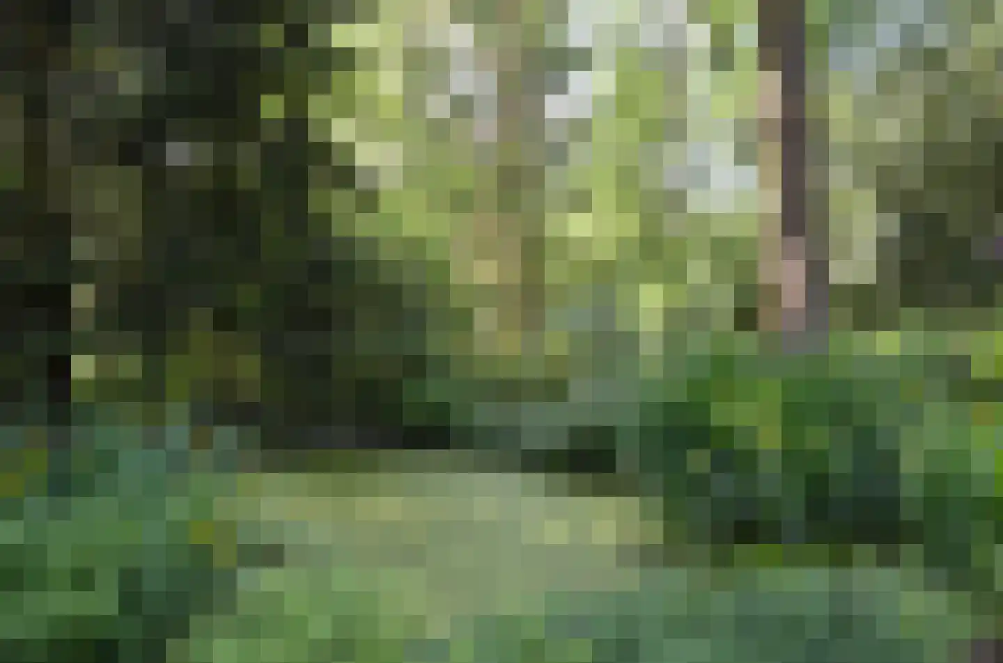 Roessinkweg 28 Hengelo (Gld) thumbnail 47