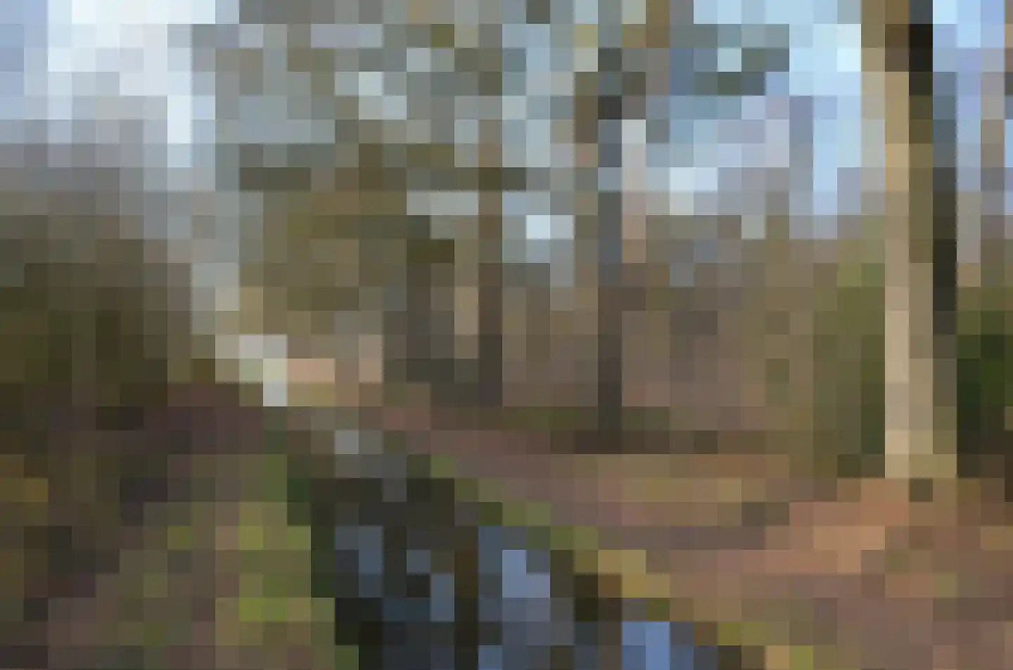 Roessinkweg 28 Hengelo (Gld) thumbnail 47