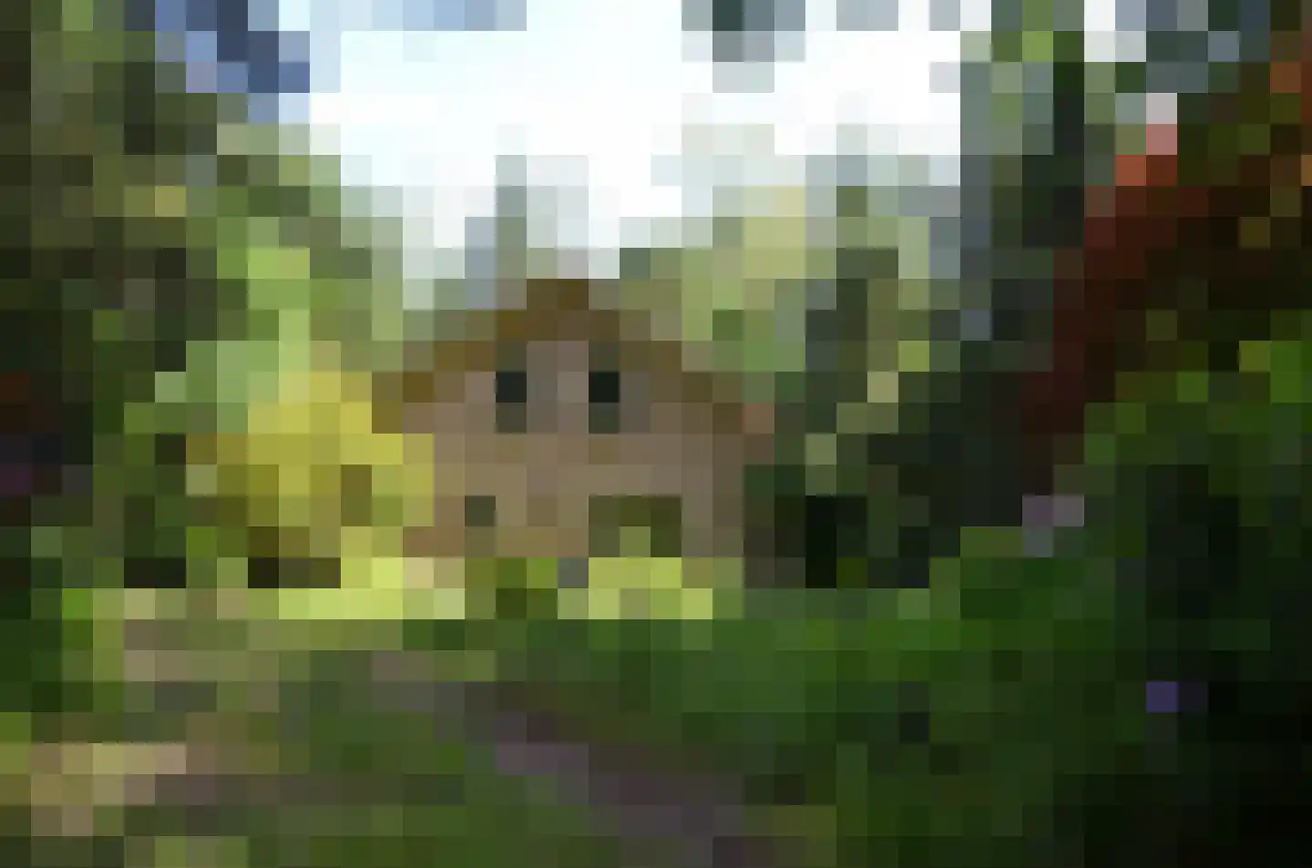 Roessinkweg 28 Hengelo (Gld) thumbnail 48