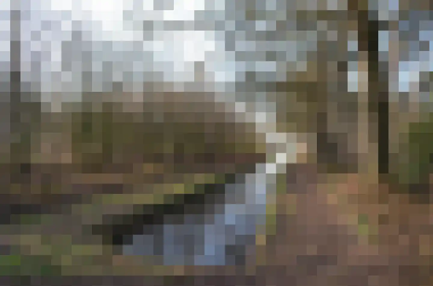 Roessinkweg 28 Hengelo (Gld) thumbnail 48
