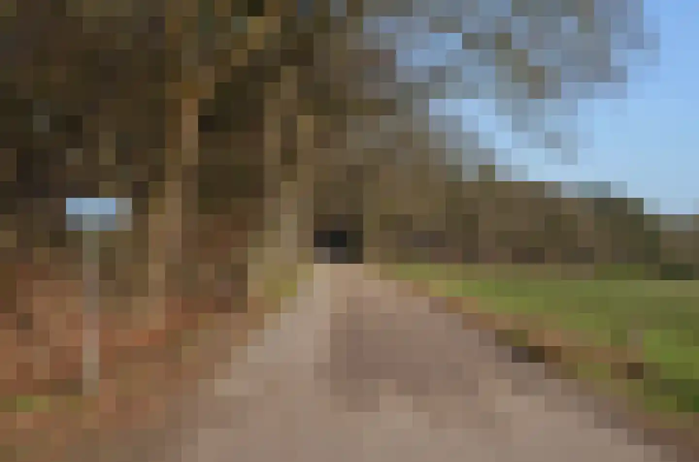 Roessinkweg 28 Hengelo (Gld) thumbnail 49