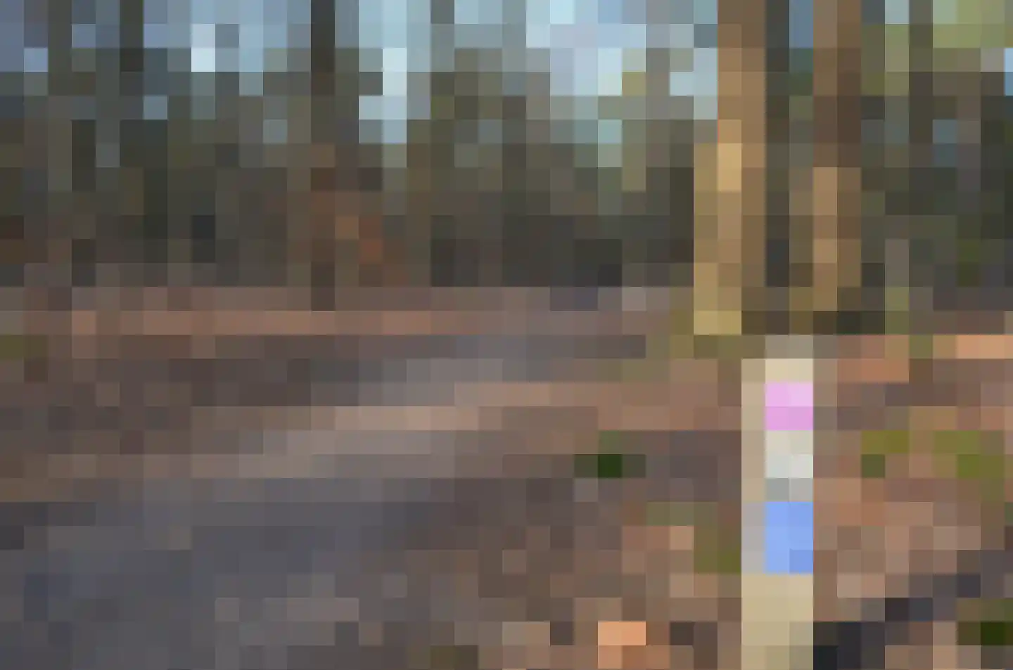 Roessinkweg 28 Hengelo (Gld) thumbnail 50