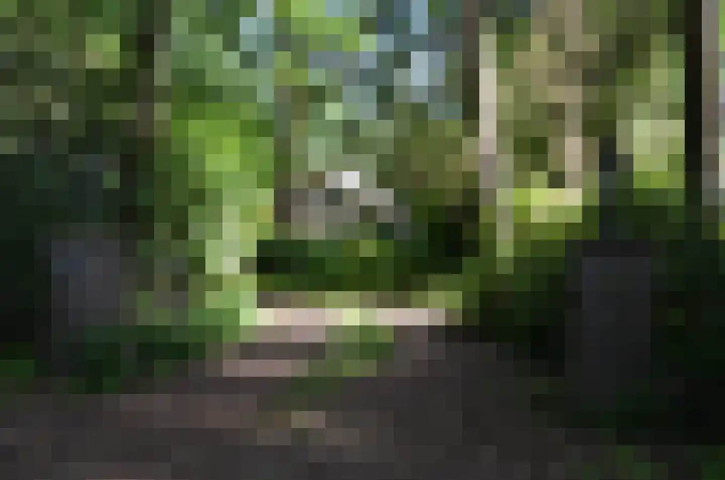 Roessinkweg 28 Hengelo (Gld) thumbnail 50