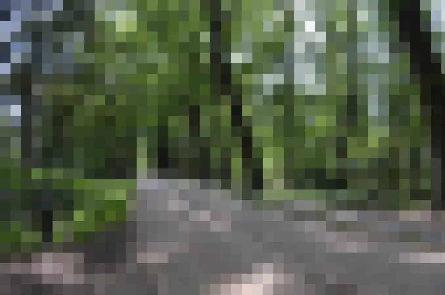 Roessinkweg 28 Hengelo (Gld) thumbnail 51