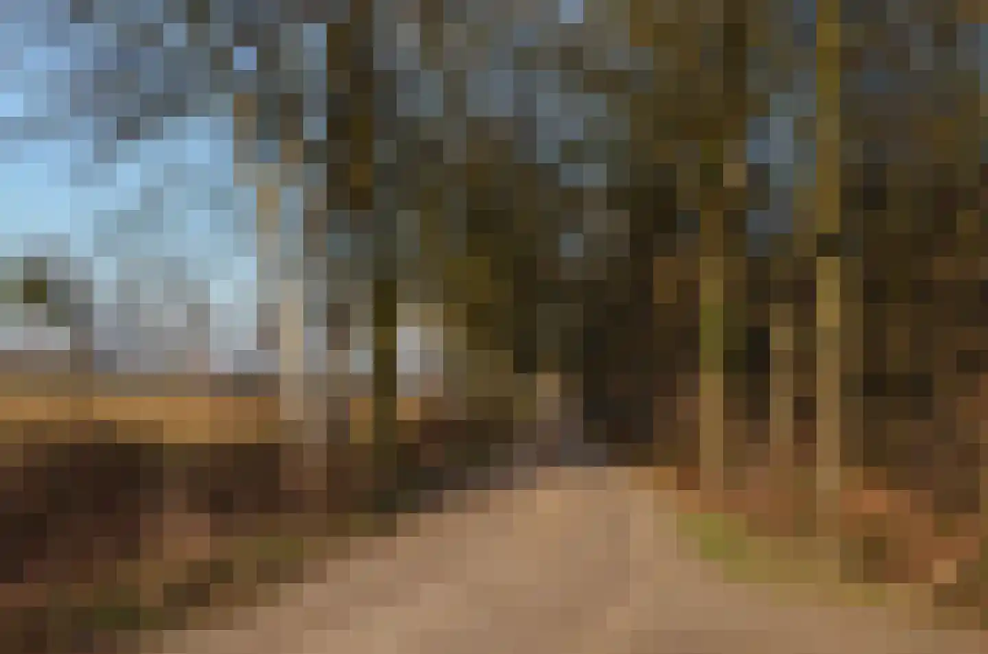 Roessinkweg 28 Hengelo (Gld) thumbnail 51