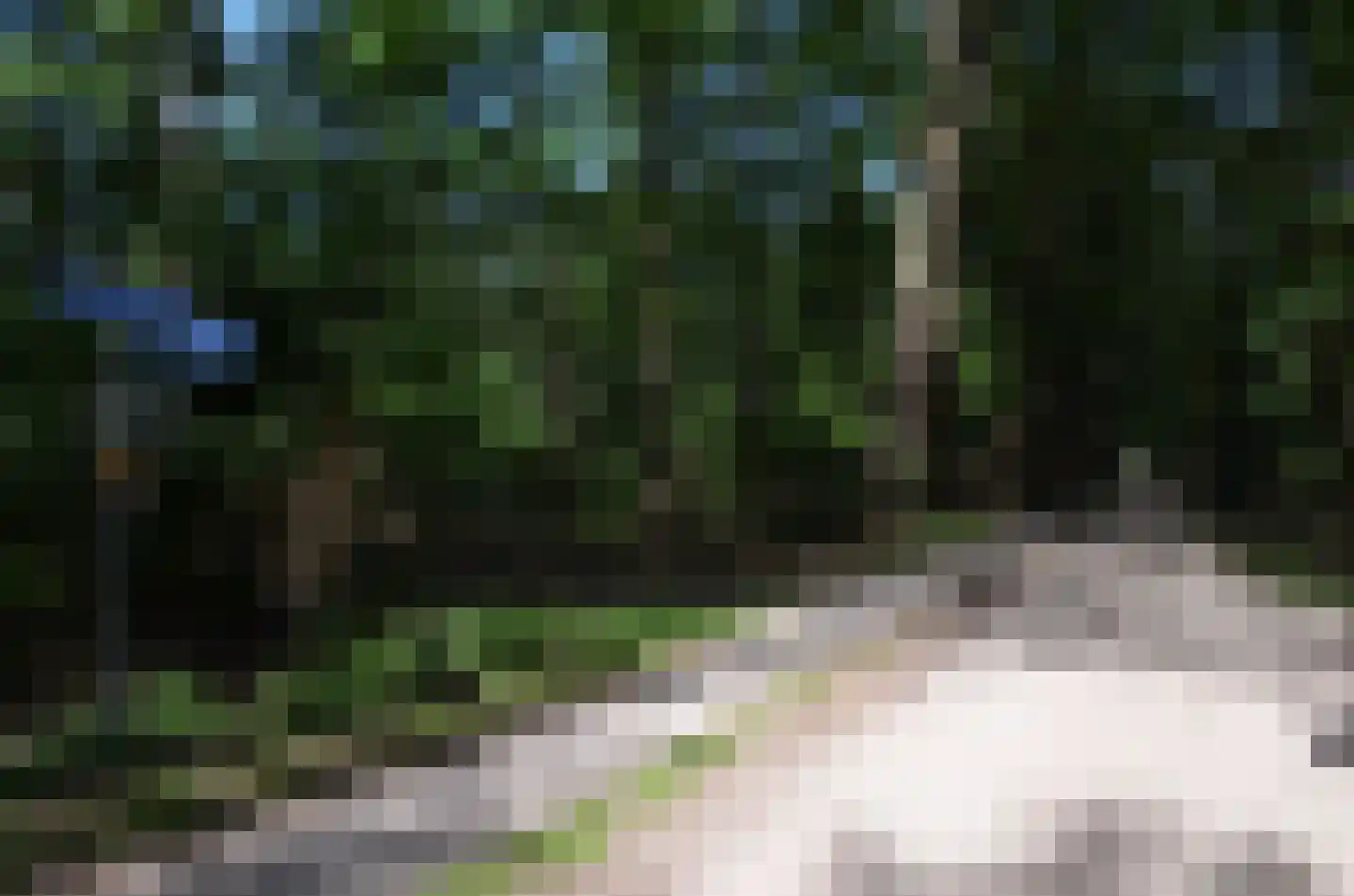 Roessinkweg 28 Hengelo (Gld) thumbnail 52