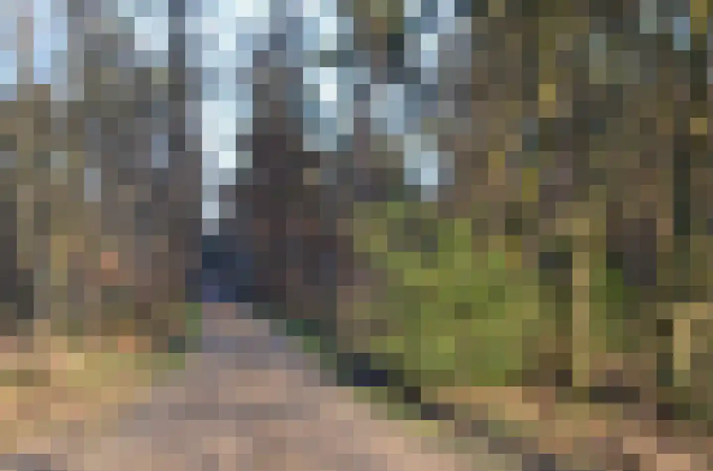 Roessinkweg 28 Hengelo (Gld) thumbnail 52
