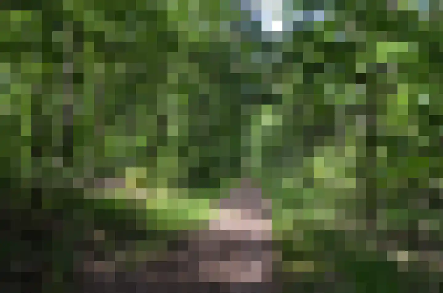 Roessinkweg 28 Hengelo (Gld) thumbnail 53