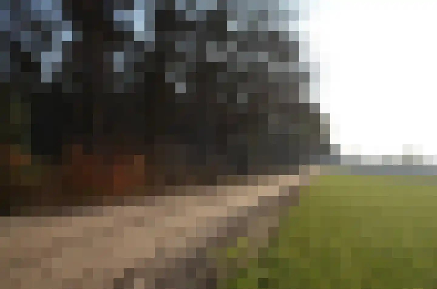 Roessinkweg 28 Hengelo (Gld) thumbnail 56