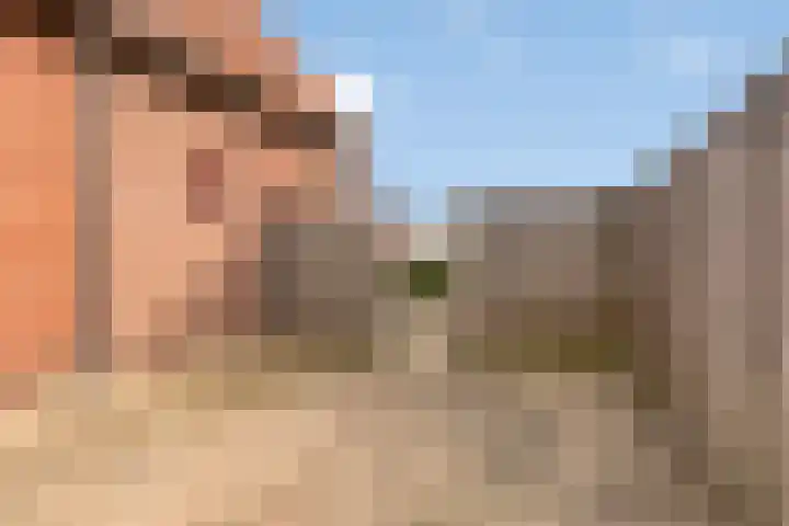 Roessinkweg 4 Hengelo (Gld) thumbnail 29