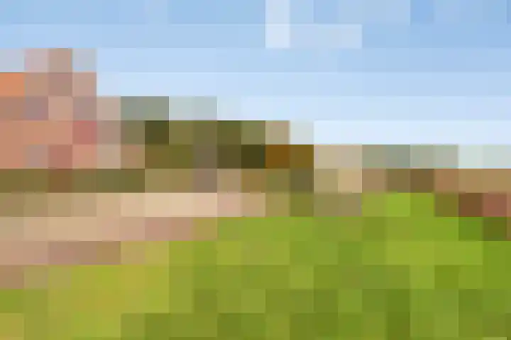 Roessinkweg 4 Hengelo (Gld) thumbnail 32