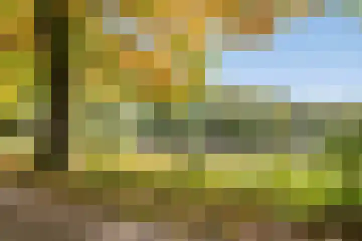 Roessinkweg 4 Hengelo (Gld) thumbnail 36