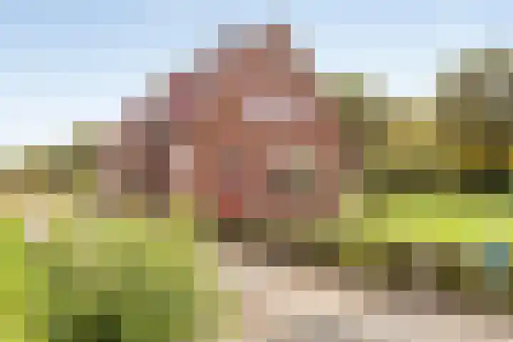 Roessinkweg 4 Hengelo (Gld) thumbnail 4