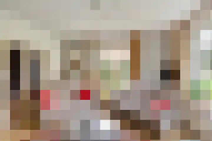 Roessinkweg 4 Hengelo (Gld) thumbnail 8