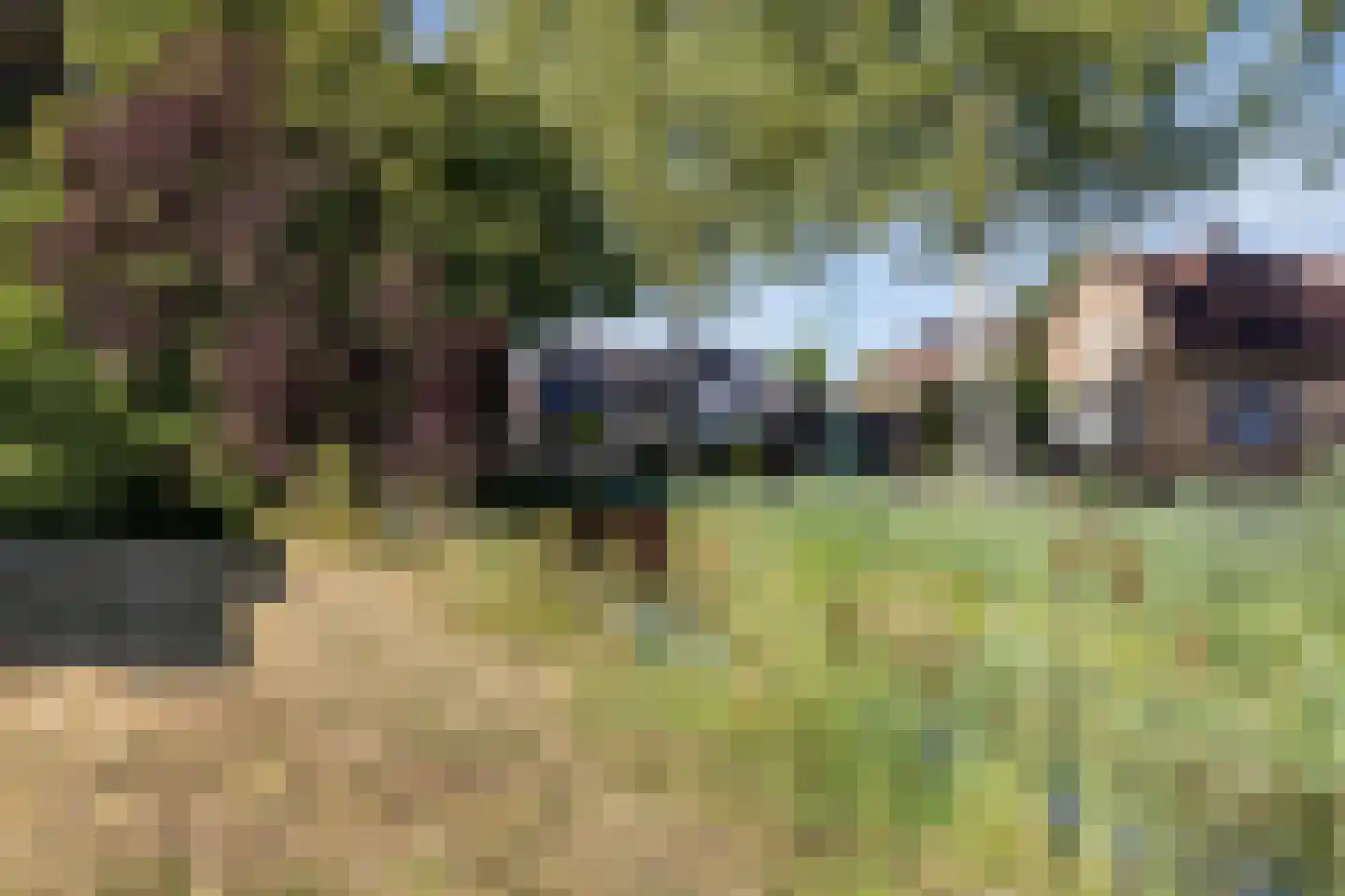 Roest 2 c Sint-Oedenrode thumbnail 10