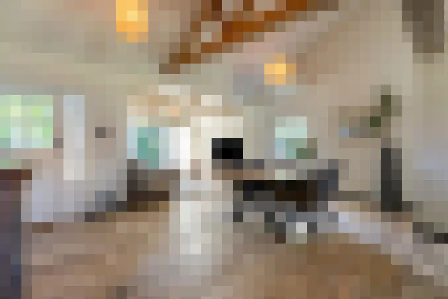 Roest 2 c Sint-Oedenrode thumbnail 17