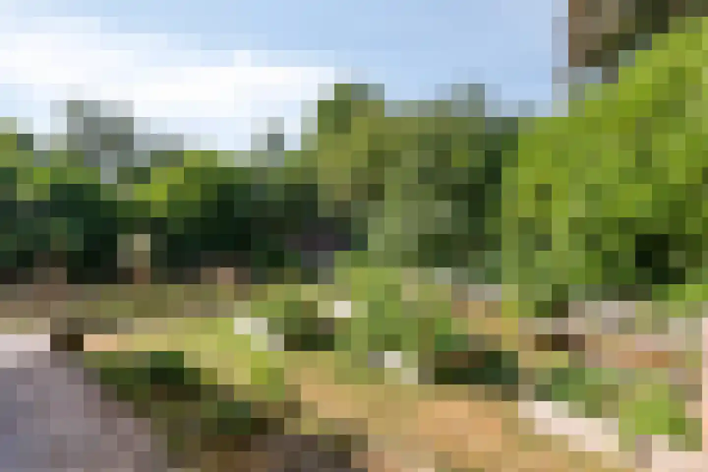 Roest 2 c Sint-Oedenrode thumbnail 4