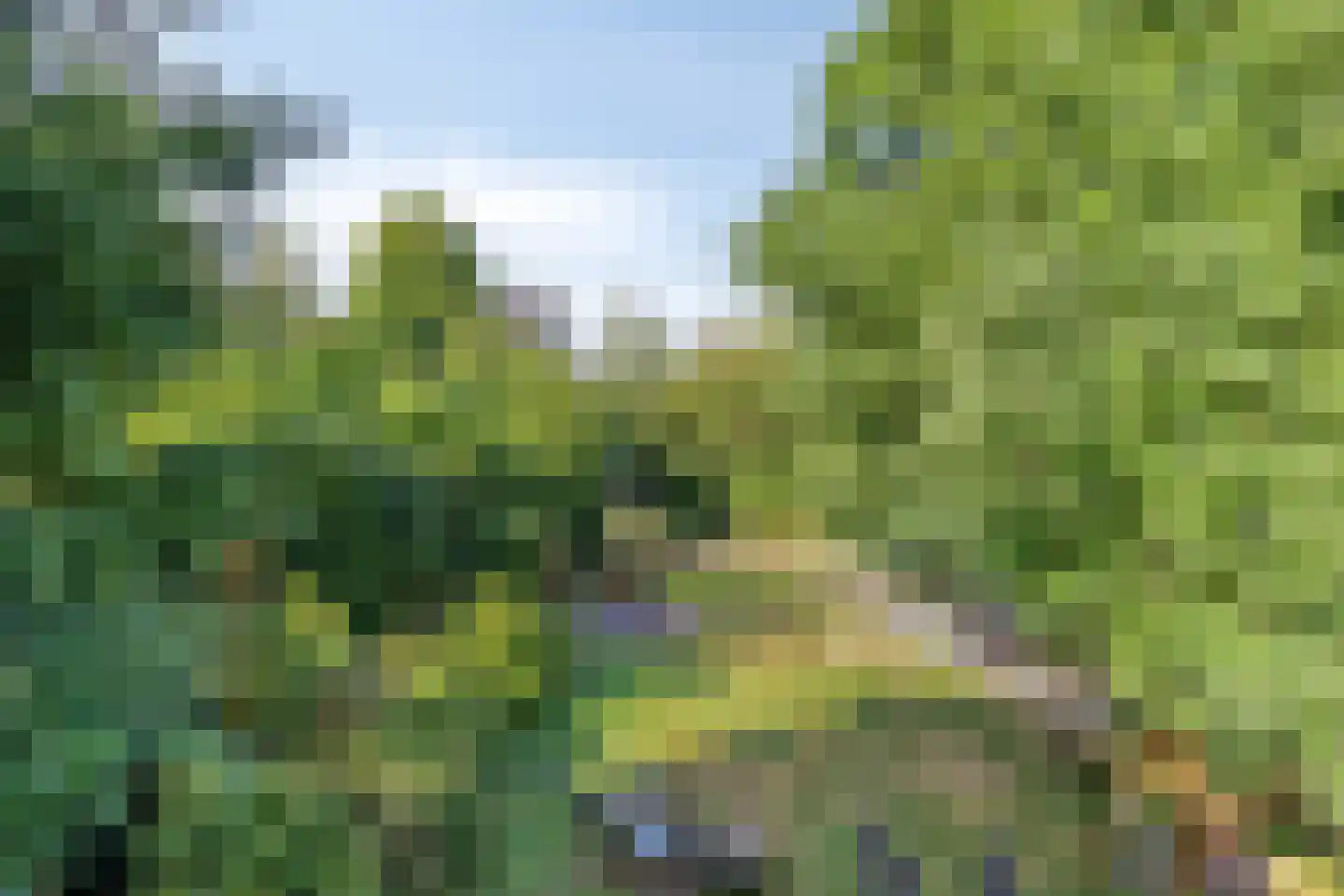 Roest 2 c Sint-Oedenrode thumbnail 41