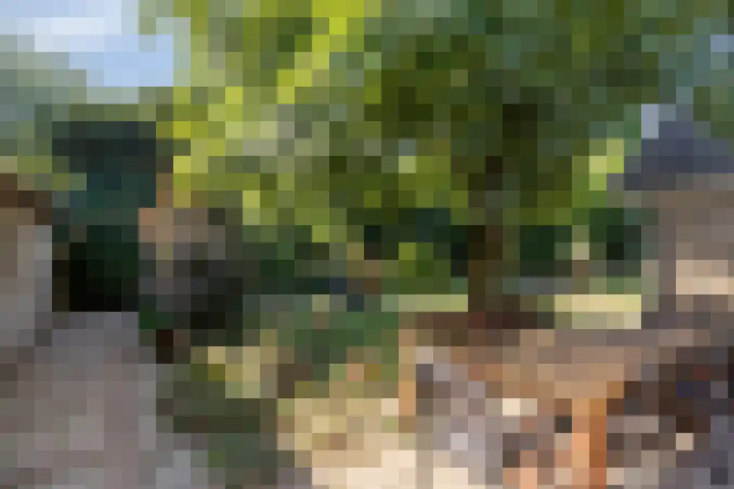 Roest 2 c Sint-Oedenrode thumbnail 42
