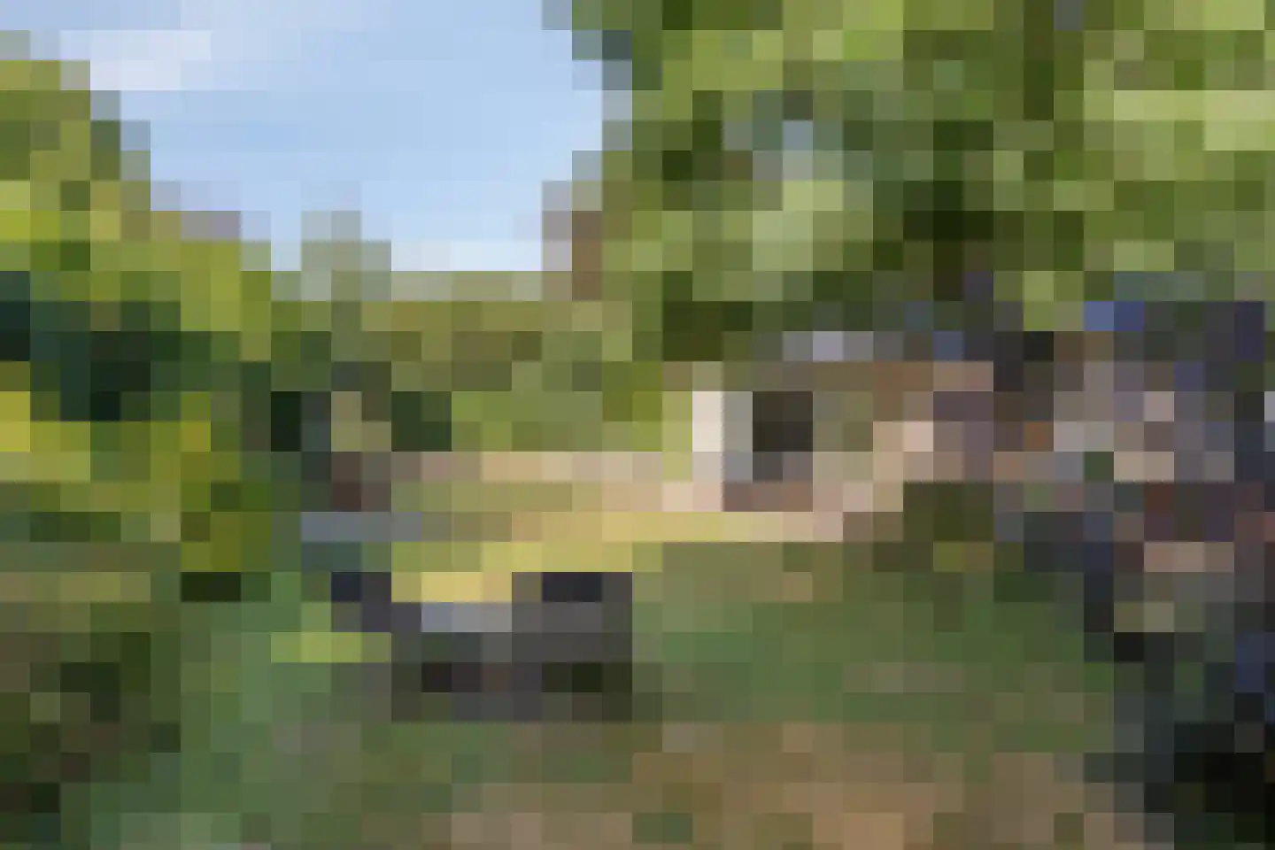 Roest 2 c Sint-Oedenrode thumbnail 43