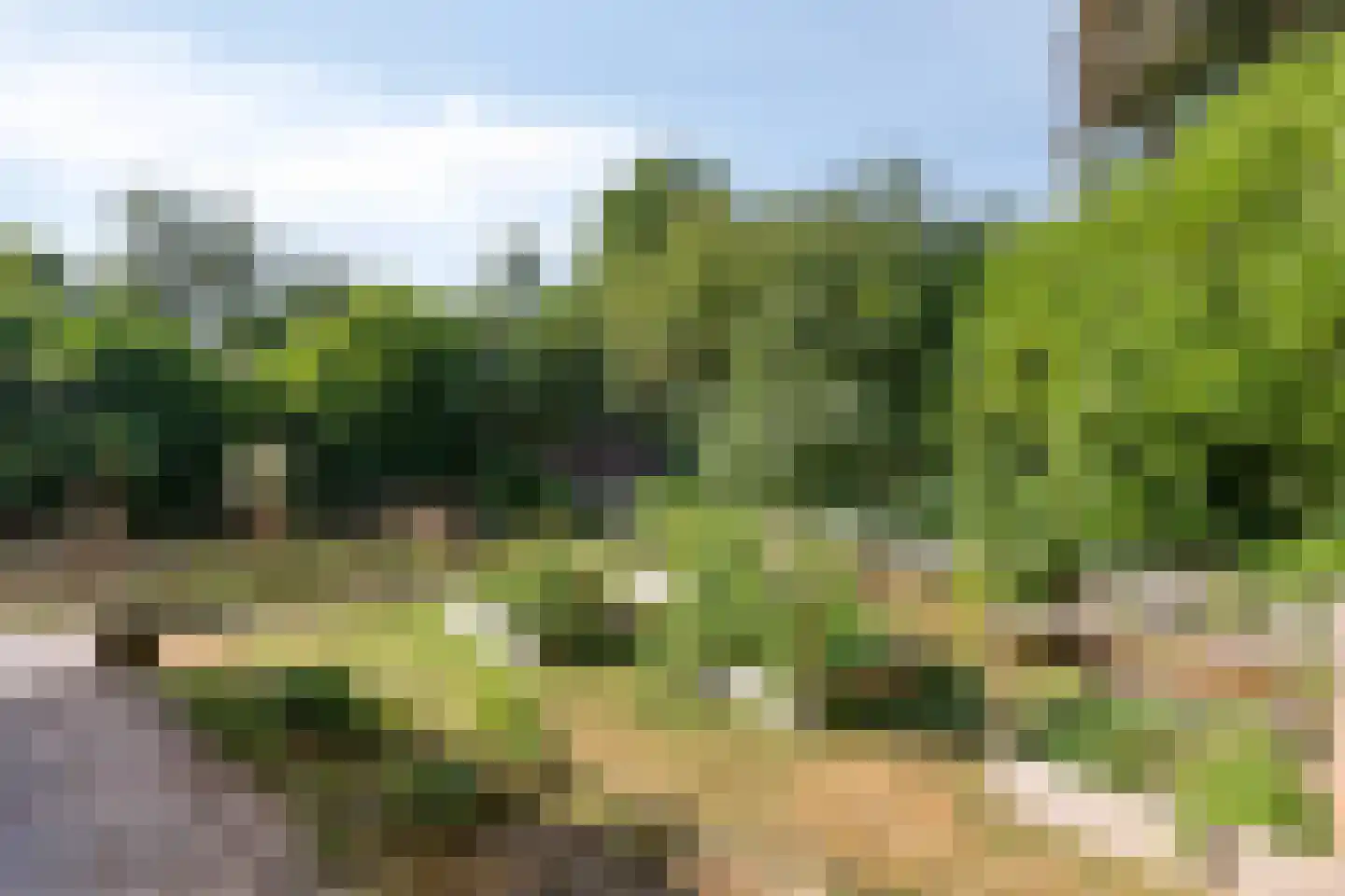 Roest 2 c Sint-Oedenrode thumbnail 45