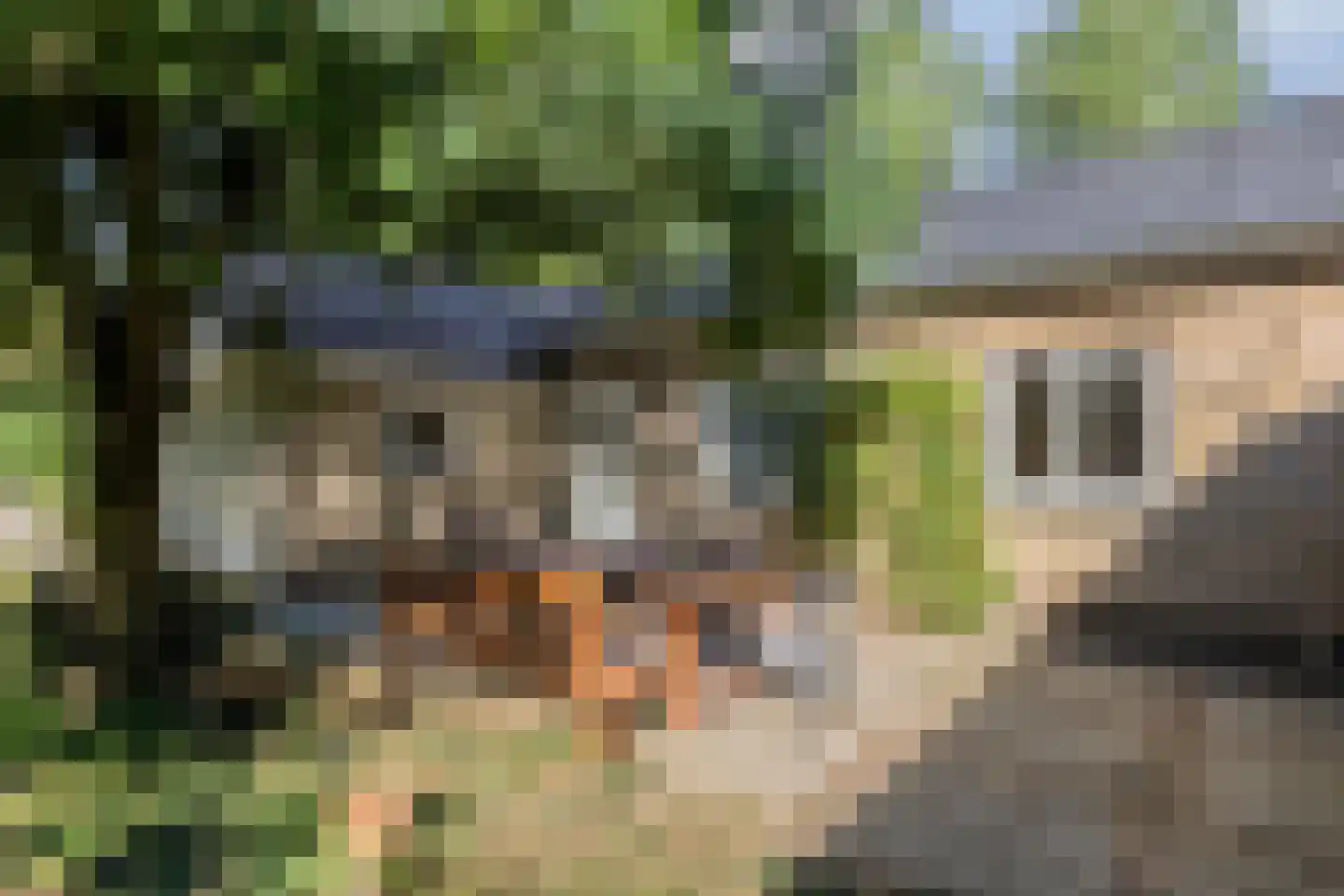 Roest 2 c Sint-Oedenrode thumbnail 47