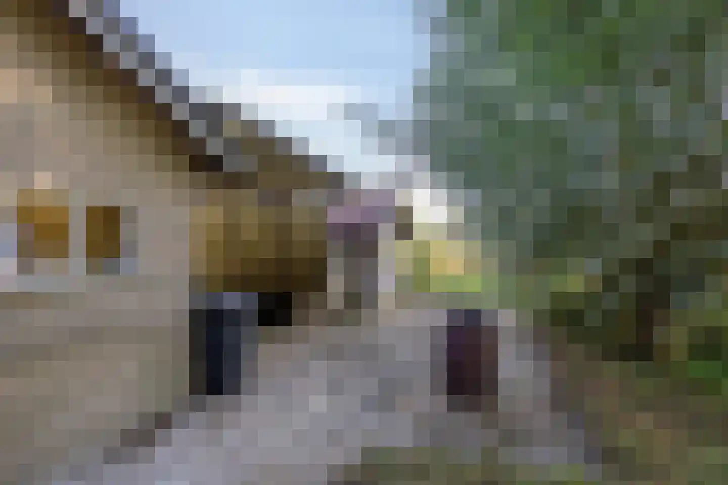 Roest 2 c Sint-Oedenrode thumbnail 49