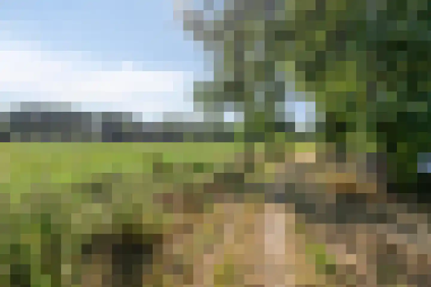 Roest 2 c Sint-Oedenrode thumbnail 5