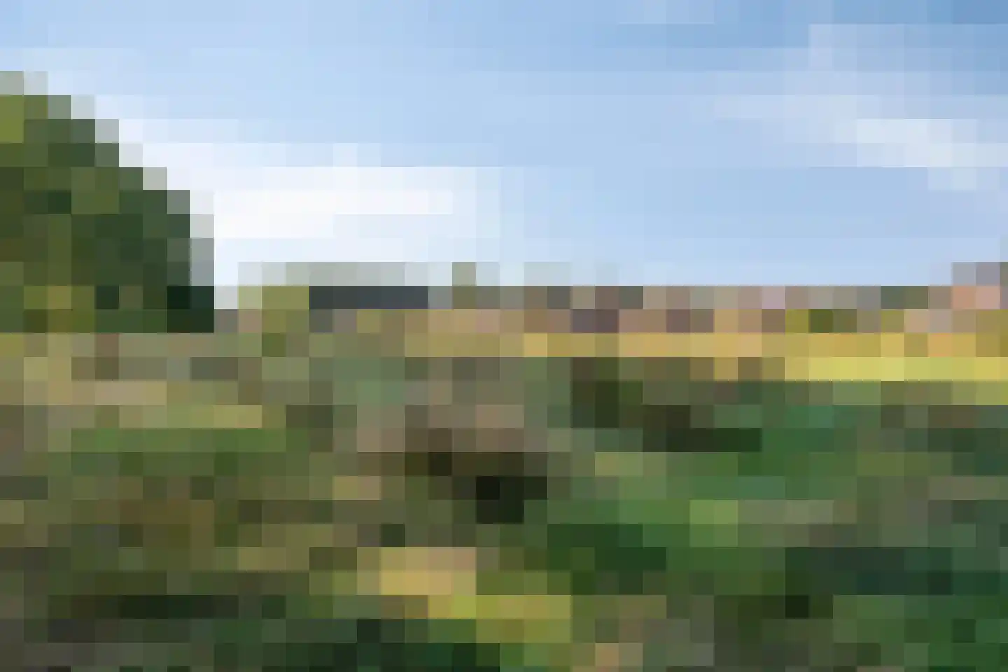Roest 2 c Sint-Oedenrode thumbnail 50