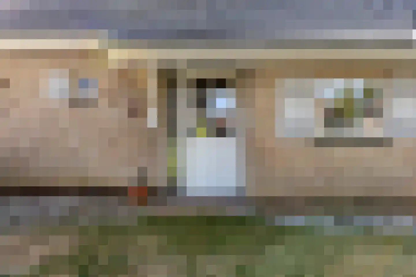 Roest 2 c Sint-Oedenrode thumbnail 8