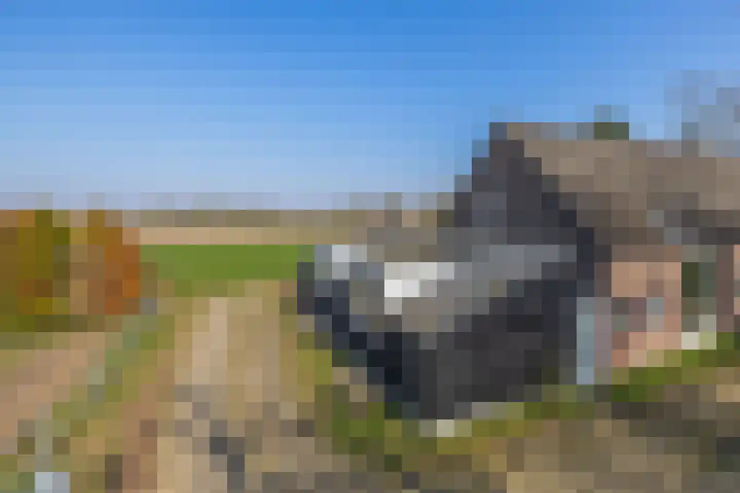 Roestenberg 2 a Wintelre thumbnail 12
