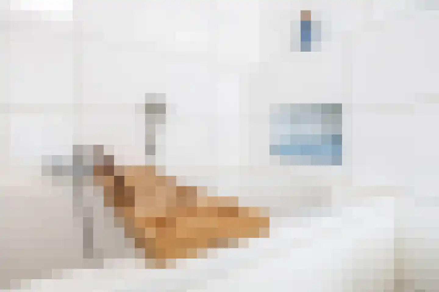 Roestenberg 2 a Wintelre thumbnail 35