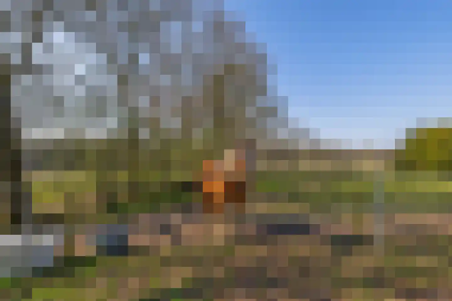 Roestenberg 2 a Wintelre thumbnail 41