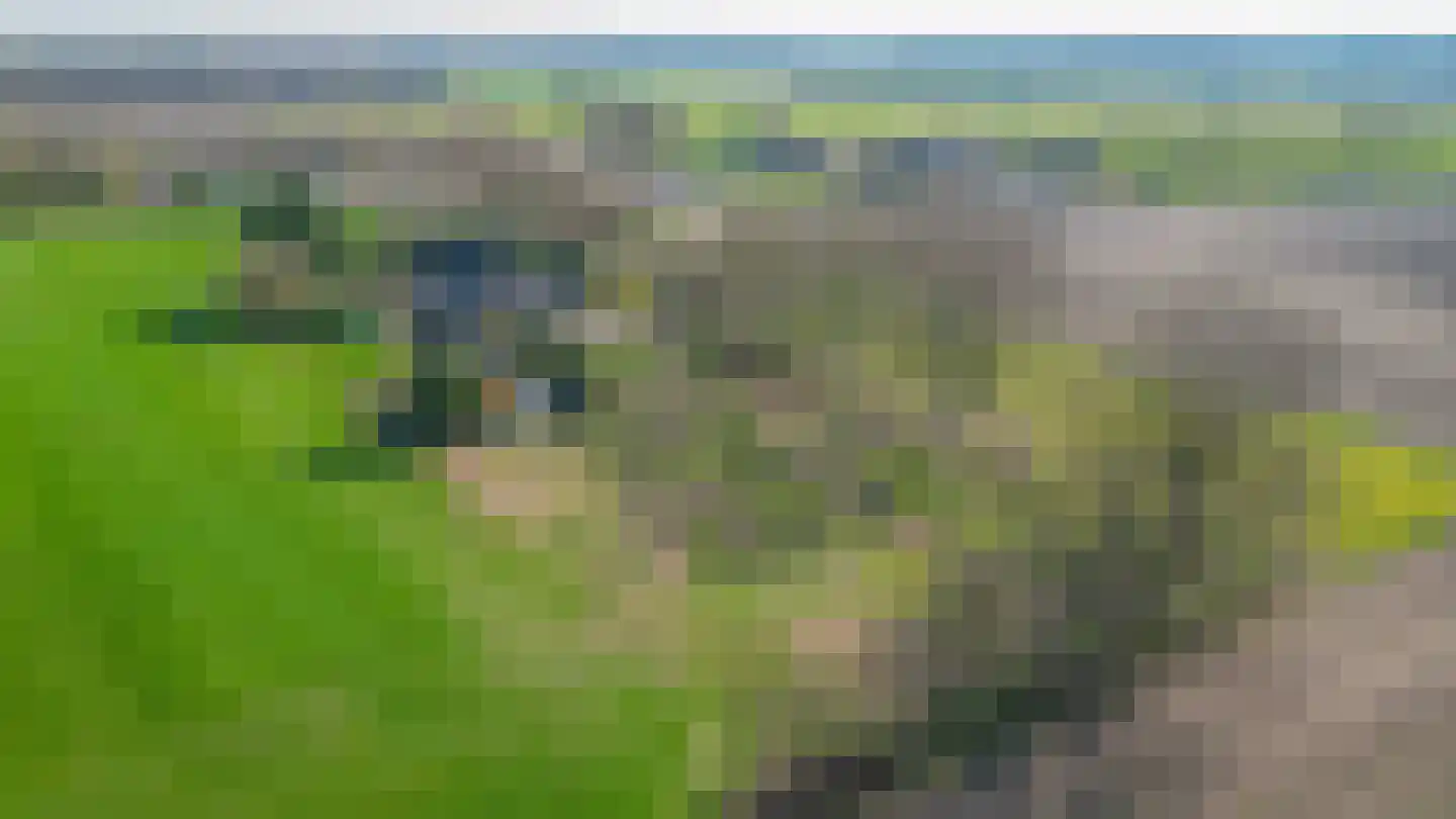 Roestenberg 2 a Wintelre thumbnail 48
