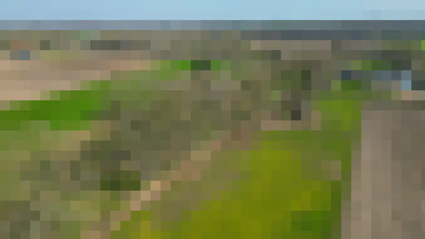 Roestenberg 2 a Wintelre thumbnail 49