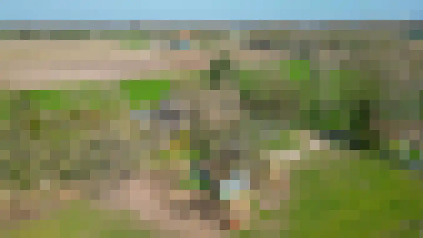 Roestenberg 2 a Wintelre thumbnail 50