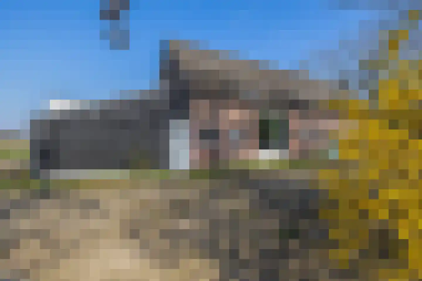 Roestenberg 2 a Wintelre thumbnail 8