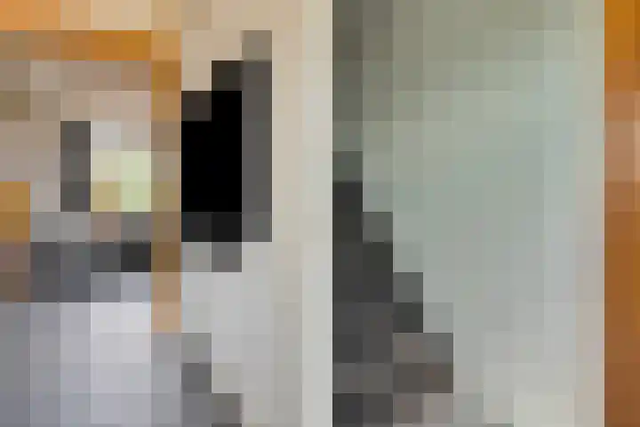 Roestenbergstraat 39 Kaatsheuvel thumbnail 6