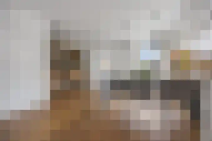 Roestenbergstraat 60 Kaatsheuvel thumbnail 7