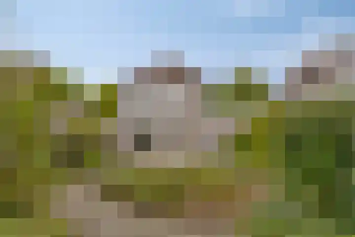 Roesterd 13 Ravenstein thumbnail 23