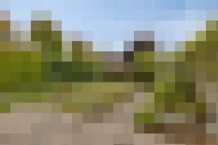 Roesterd 13 Ravenstein thumbnail 24