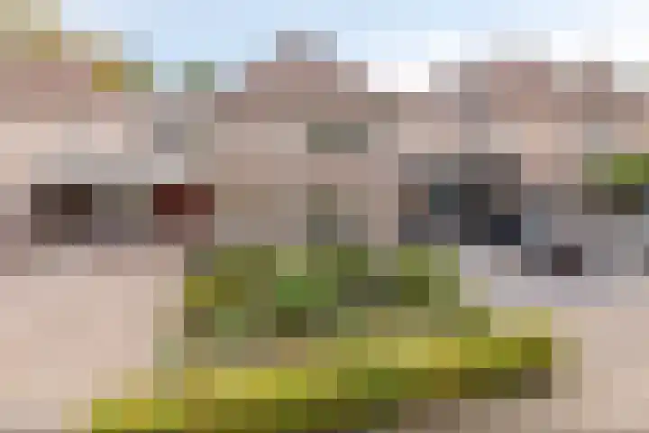 Roesterd 13 Ravenstein thumbnail 25